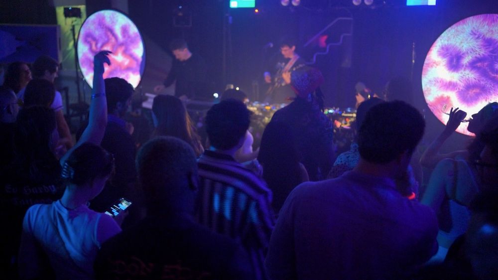 Subwilder live at Bloom Phest